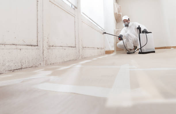24/7 Emergency Mold Cleanup experts in Flint Hill, VA