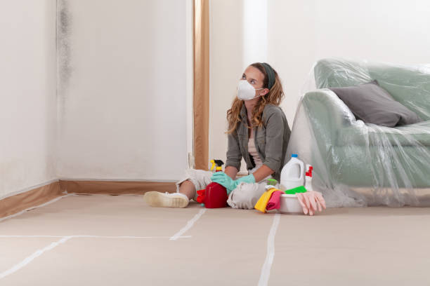 Reliable Mold Cleanup contractor in Flint Hill, VA by WQB Mold Removal